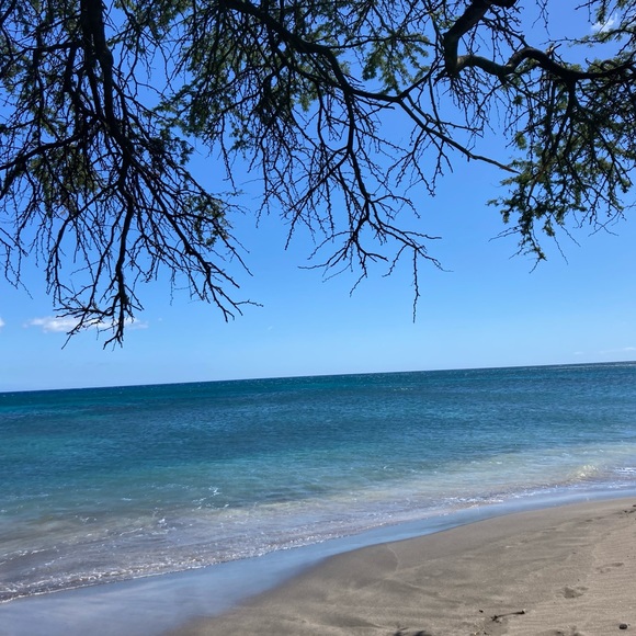 NWT items - Picture 3 of 3